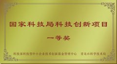 國家科技局科技創新項目一等獎